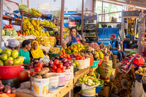  Africa Travel Market Positioning 2026–2027 